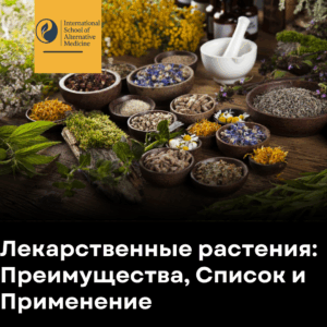 Лекарственные растения